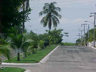 Casa en renta larga La Rinconada foto 2
